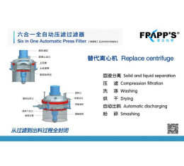 六合一全自動壓濾過濾器